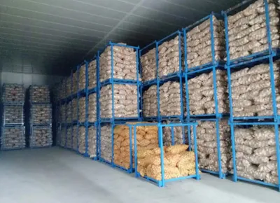 Modernising Potato Cold Storages in India: From Seasonal Warehouses to Smart Value-Chain Assets