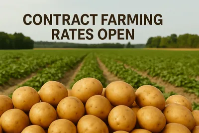 Contract Farming Potato Rates Announced Across Major Growing States