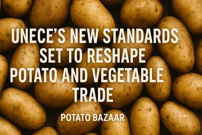UNECE’s new standards set to reshape potato and vegetable trade