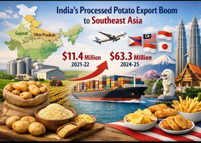 India’s Processed Potatoes Witness Surge in Demand Across Southeast Asia