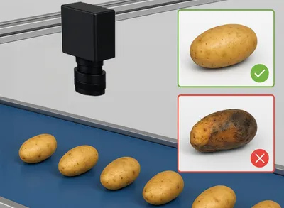 AI Revolutionizes Potato Grading with High-Precision Inspection System