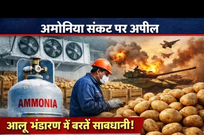 UP Cold Storage Association Issues Advisory Amid Ammonia Shortage; Urges Caution in Potato Storage