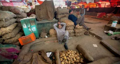Azadpur Mandi Market Update: Heavy Rains Dampen Sales Amidst Navratri Demand (March 20, 2026)