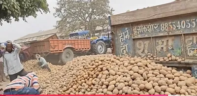 Market Update: Price Recovery in Farrukhabad Amidst Harvest Challenges (March 21, 2026)